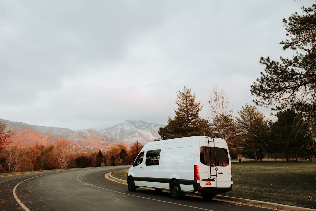 Best Van for Van Life 2026: Top Picks Compared by Price, Height & Reliability