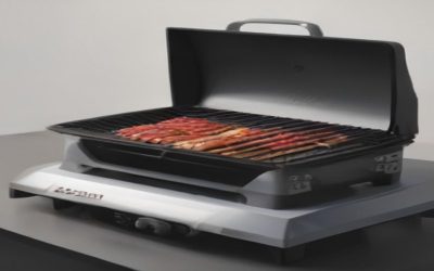 6 Best Portable Propane Barbecue Grills 2026