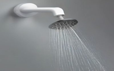 6 Best Portable Shower Heads 2026