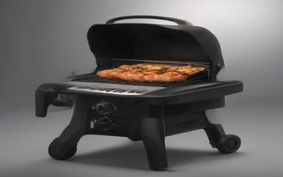6 Best Weber Portable Gas Grills With Stand 2026