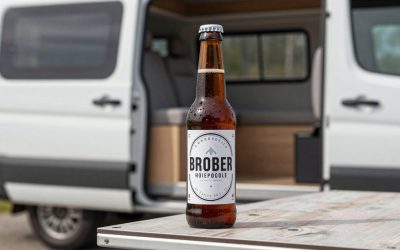 Beer vs Hard Seltzer: How They Compare