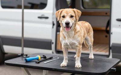 Best Dog Grooming Kits for Home Use