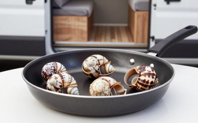 Best Escargot Pan Set for French Cooking