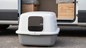 Best Litter-Robot Litter Boxes for Cleaner Cat Care