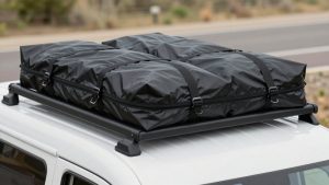 Best Rooftop Cargo Bags in 2026: Compared and Ranked